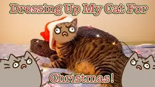 🎄 MERRY CHRISTMAS From TheCartoonKitty!! 🎄
