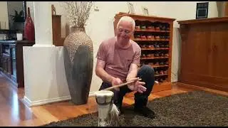 bongo drumroll