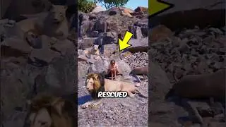 These Brave Rescues Saved Innocent Lives
