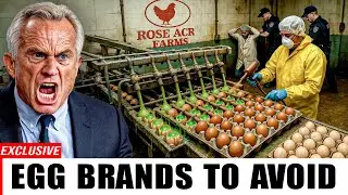 Avoid These 5 EGG Brands All Costs (And 2 That Are Actually Safe to Eat)