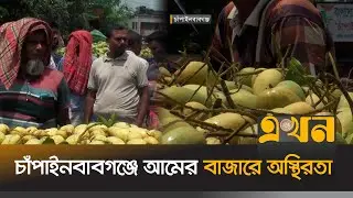 ১৫ দিনে আমের দাম বেড়ে মণ প্রতি ১০ হাজার টাকা | Mango Market | EKHON TV