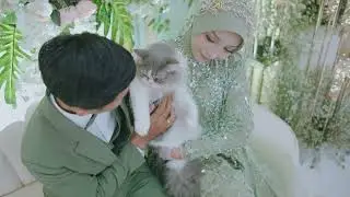 Wedding Teaser Cinematic Pekalongan fujifilm xh1 + 35mm f0.95+23mm f1.4 #fujifilm #weddingcinematic