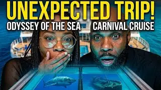 Traveling to Haiti, Aruba, & Curacao? WATCH THIS FIRST