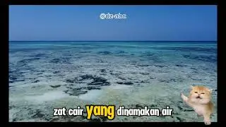 Misteri tengah laut by kucing lucu #faktarandom 