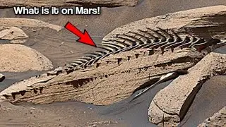 NASA's Mars Perseverance Rover Captured Latest Breathtaking Panorama Footage of Mars :Sol 1783