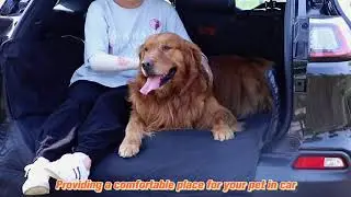 Looxmeer Car Boot Protector for Dogs | Universal Car Boot Liner Cover with Bumper