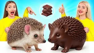 Челлендж. Шоколадная Еда vs Настоящая еда | Крутые Трюки с Едой с Multi DO Challenge