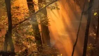 Symphony - Beatrix Sipos , Edvin Marton  (HD).avi