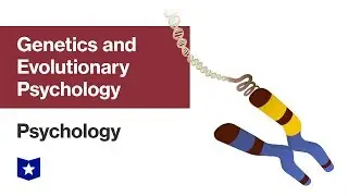 Genetics and Evolutionary Psychology | Psychology