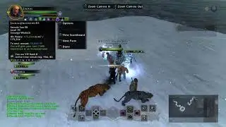 NeverWinter SW fun