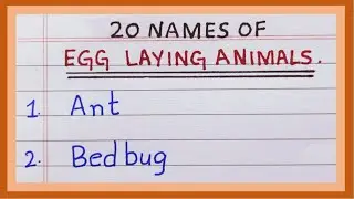 Names of Egg laying Animals | 20 Names of Egg Laying Animals in English | Oviparous