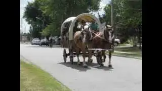 Belgian horses pulling covered wagon