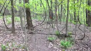 Understanding trail markers