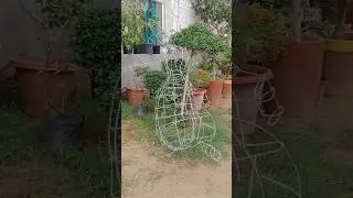 how to make topiary #rabbit #topiary #plant #design #gardening #video