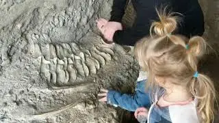 Teach them young! Adjusting Dinasaur bones
