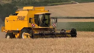 moisson d’escourgeon avec une tx 68 plus