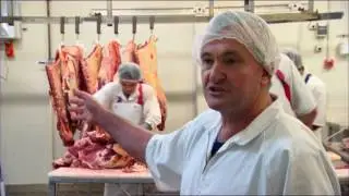 Molesworth Station Paddock to Plate