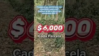 🔴 VENDIDAS ,GRAN OPORTUNIDAD!!! #propiedadesenventa #terrenos #lotes #propiedades #realestate