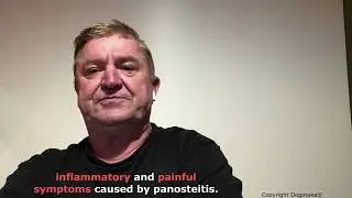 Panosteitis