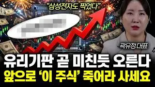“삼성전자도 찍었다” 유리기판 곧 미친듯 오른다. 앞으로 ‘이 주식’ 죽어라 사세요 | 곽유정 대표 1부
