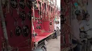 Pushkar Market Rajasthan #viralvideo #shorts #youtubeshorts #pushkar #rajasthan