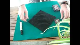 CRYSTAL COIN CASE,фокусы с монетами