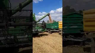 John Deere 1174 SII, Kubota M7133