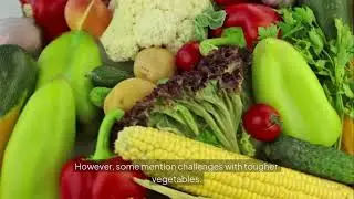 Best Vegetable Chopper 2025? | Fullstar 4-in-1 Slicer Review & Demo (Amazon Must-Have)