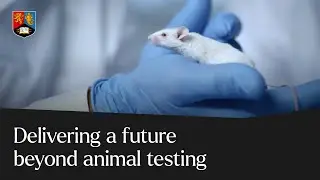 Delivering a future beyond animal testing | University of Birmingham