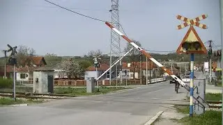 Spoorwegovergang Batočina (Баточина) (SRB) // Railroad crossing // Железнички прелаз
