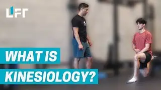 What is Kinesiology? Overcome Injury, Move Better, and Become Stronger with Vancouver Kinesiologists
