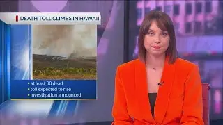 UPDATE: Hawaii fire