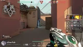 n0psa's clutch