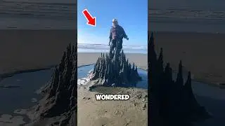 Скрытый мир внутри пляжного песка 😱🔬