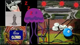 TWWWTT #358 Historically accurate Ark encounter, tattoos, weird mint taste, jellyfish sleep, & LHC