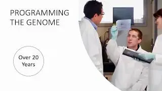 Addressing the Challenges of Therapeutic Vector Development