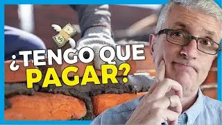 ✅ Quién tiene que PAGAR un Muro Medianero?