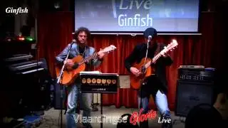 VLD glorie Live Ginfish song proef