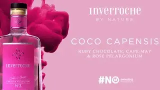 The Creative Collection NO.3 - Coco Capensis