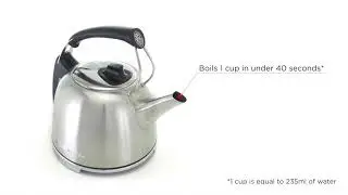 Russell Hobbs K65 Anniversary Brushed Kettle - Silver