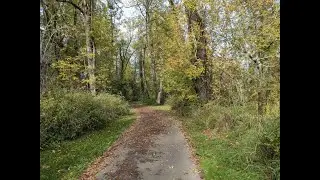 Fanno Creek Trail in Beaverton, Oregon October 22, 2024