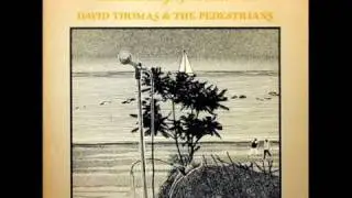 David Thomas and the Pedestrians - The crickets in the flats