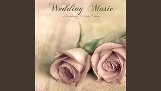 Wedding Music
