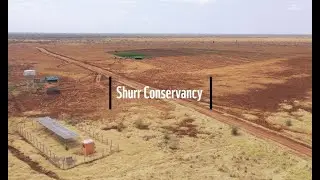 From Drought to Abundance 🌍🌿