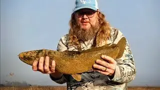 Easy Beach Fishing Cart Modification AND NEW PB Out Of A Canal Near Savannah