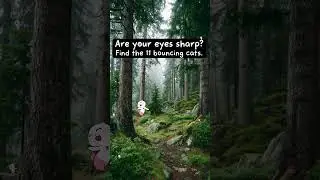 Did u Find?🧐 Meow Peow #cute #cutecat #cat #catvideos #catshorts #meowpeow #couple #love