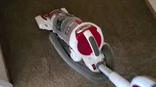 The Best ASMR Carpet Cleaning Experience 😊