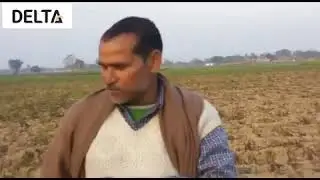 Delta Tiger - Farmer Testimonial
