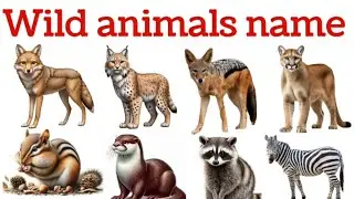 20 wild animals name, jangl me rahne wale janwar, learn for kids wild name 
