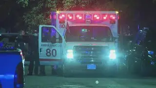 Police: Son stabs parents, sister in kitchen of McKinley Park residence
